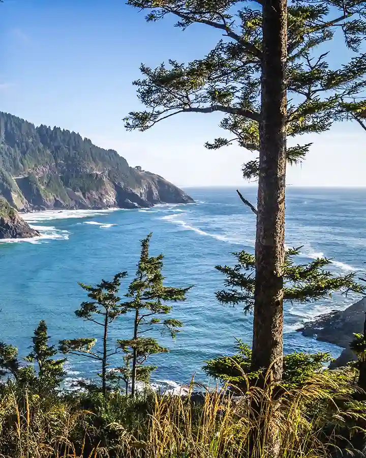 Heceta Head Lighthouse State Park Scenic Viewpoint in Florence, Oregon