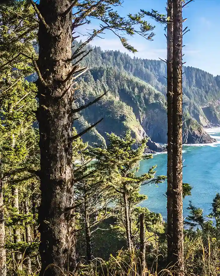 Heceta Head Lighthouse State Park Scenic Viewpoint in Florence, Oregon