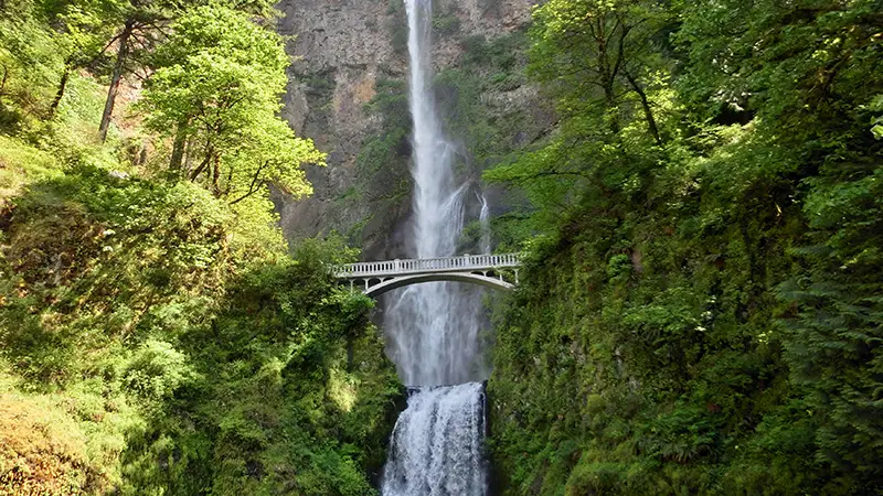 Multnomah Falls Oregon