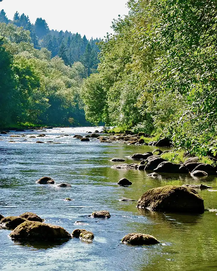 Tualatin River Oregon