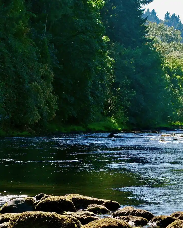 Tualatin River Oregon